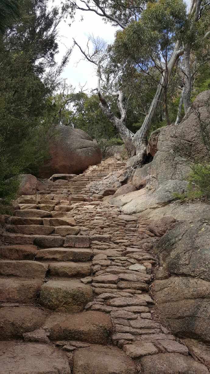 hobart2-12.jpeg Hobart2 12