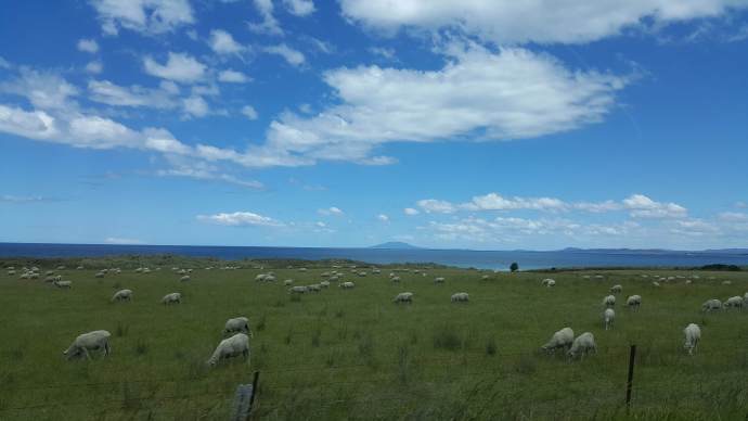 hobart2-25.jpeg Hobart2 25