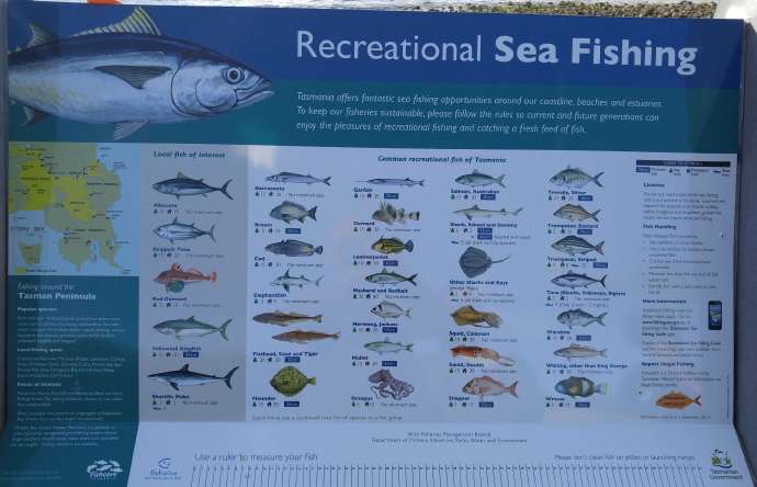 hobart2-41.jpeg Hobart2 41