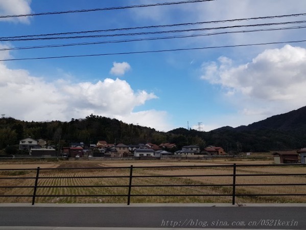 image-09.jpeg Image 09