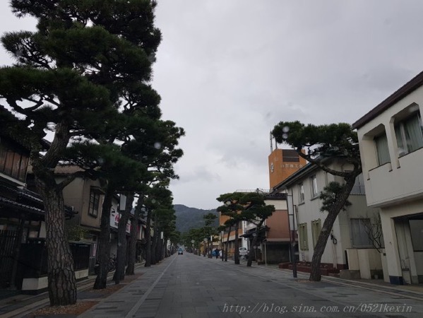 image-14.jpeg Image 14