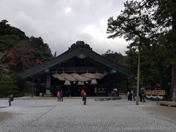 image-17.jpeg Image 17