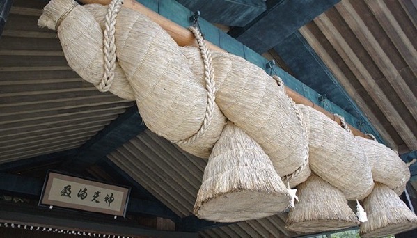 image-19.jpeg Image 19