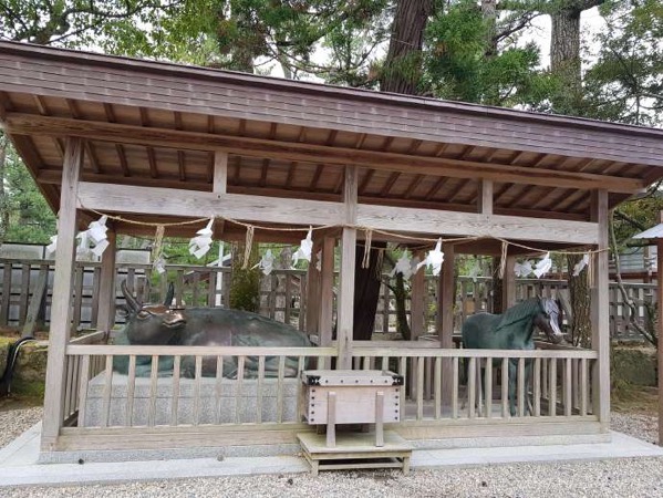 image-20.jpeg Image 20