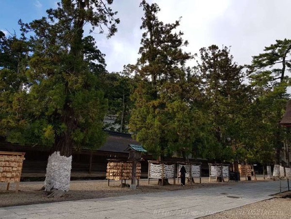 image-21.jpeg Image 21