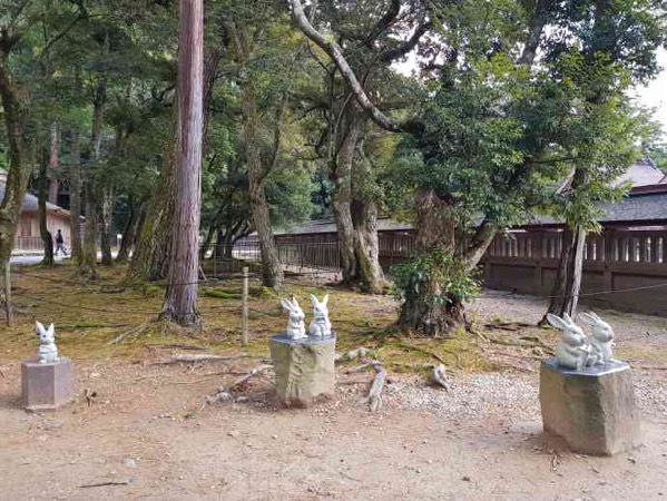 image-27.jpeg Image 27