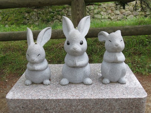 image-28.jpeg Image 28