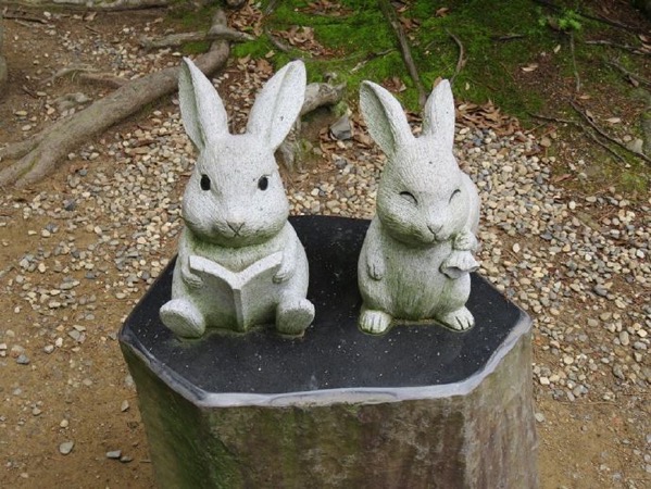 image-29.jpeg Image 29