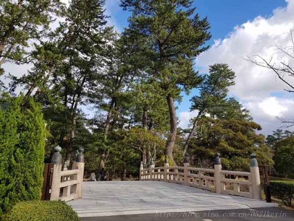 image-32.jpeg Image 32