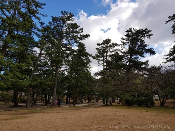 image-33.jpeg Image 33