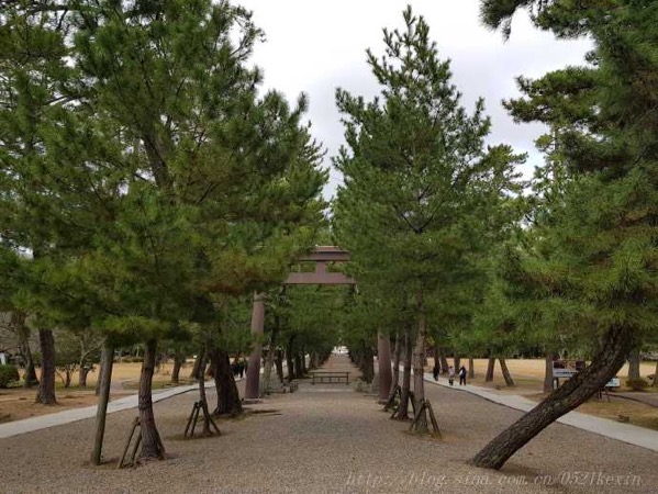 image-36.jpeg Image 36