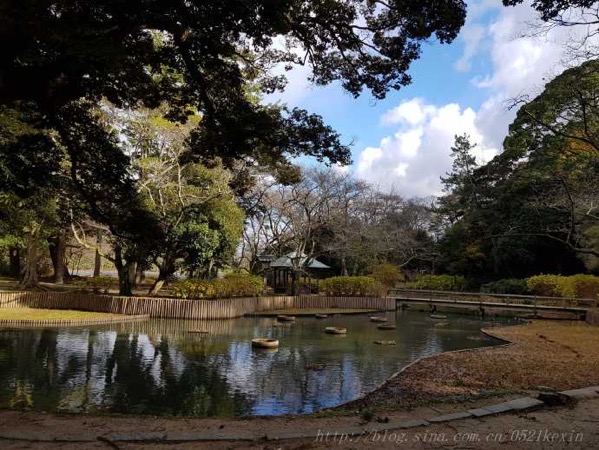 image-37.jpeg Image 37