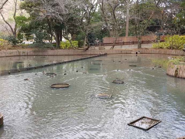 image-38.jpeg Image 38