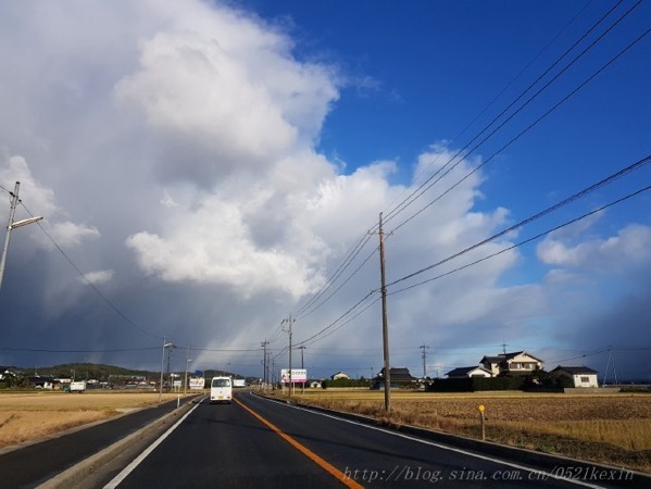 image-42.jpeg Image 42