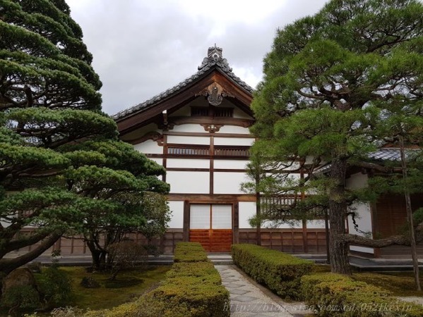 pineHouse.jpg PineHouse