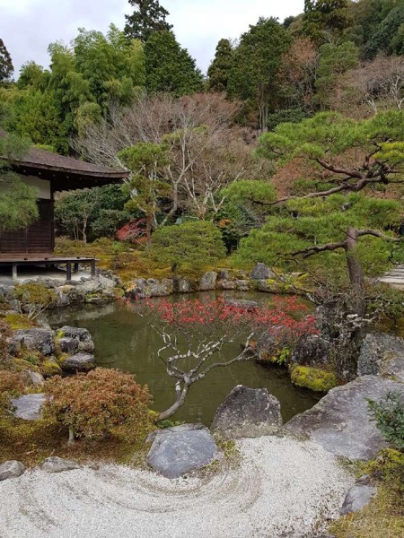 yggarden.jpg Yggarden