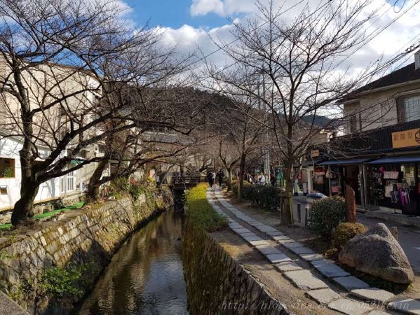 yinghua2.jpg Yinghua2