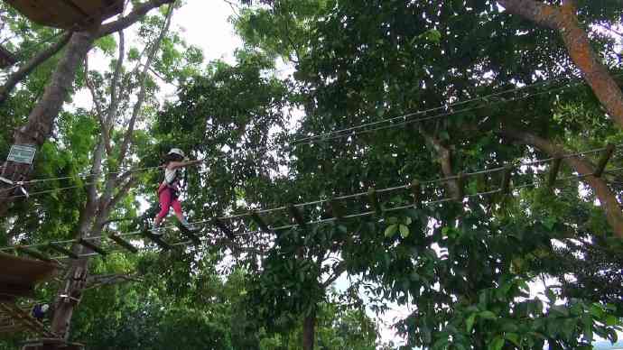 You are currently viewing 丛林冒险课程