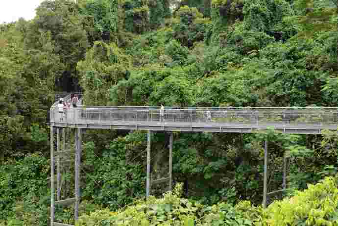 南部山脊的亨德申波浪桥（Henderson Waves）和丛林走道（Forest Walk）