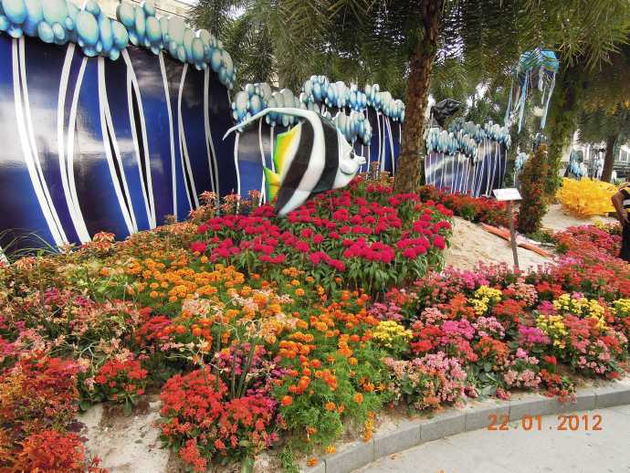 You are currently viewing 2012春节花会
