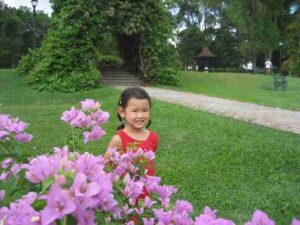 Read more about the article 麦里芝蓄水池（MacRitchie Reservoir）