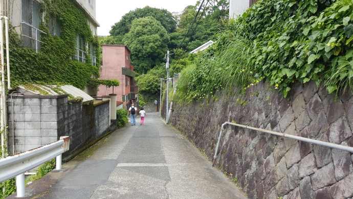 修善寺-01.jpeg 修善寺 01