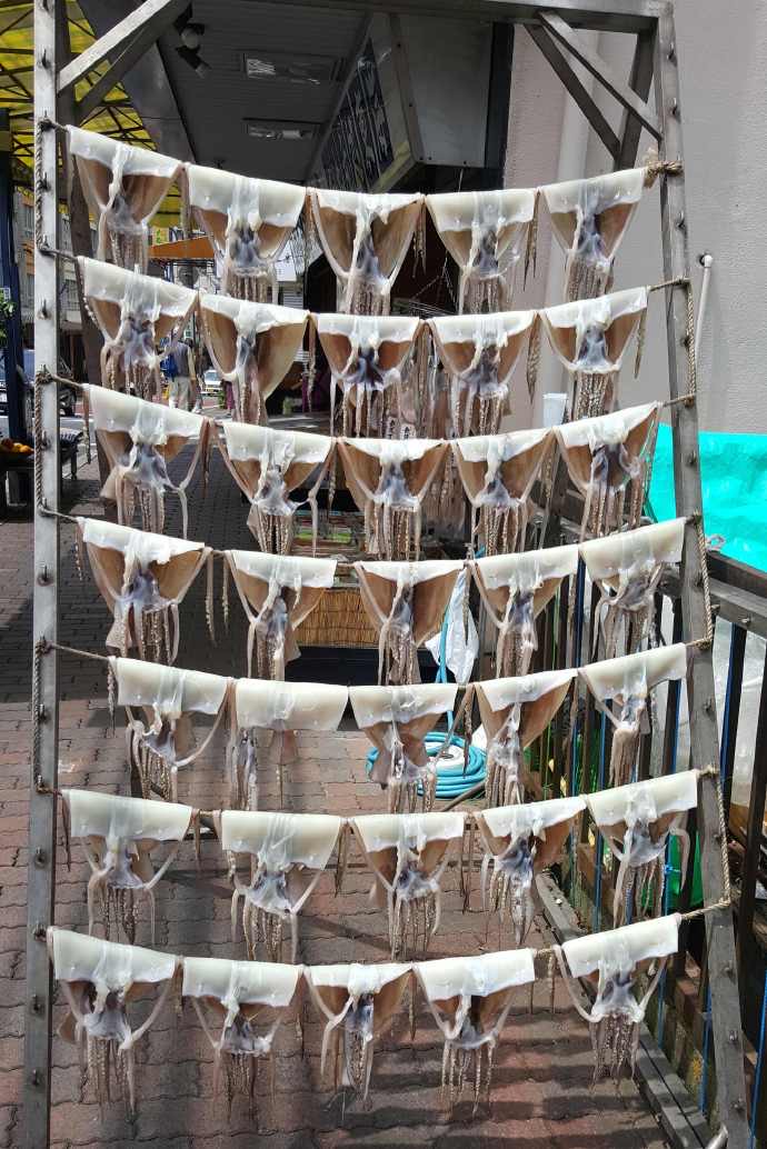 修善寺-03.jpeg 修善寺 03