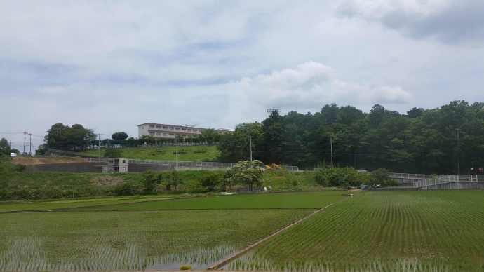 修善寺-06.jpeg 修善寺 06