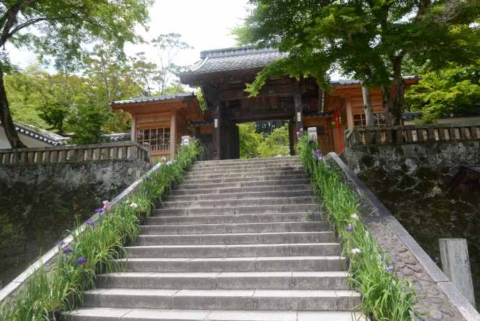 修善寺-09.jpeg 修善寺 09