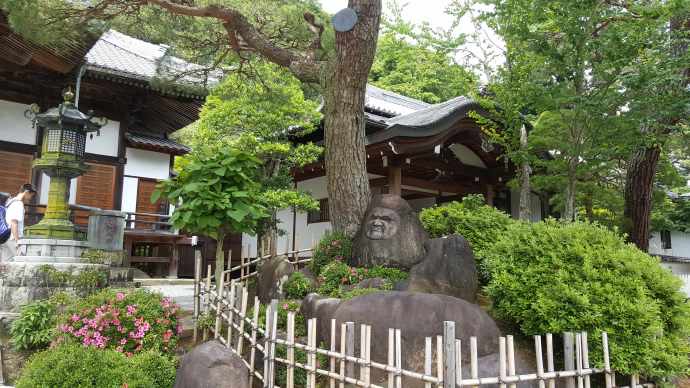 修善寺-13.jpeg 修善寺 13