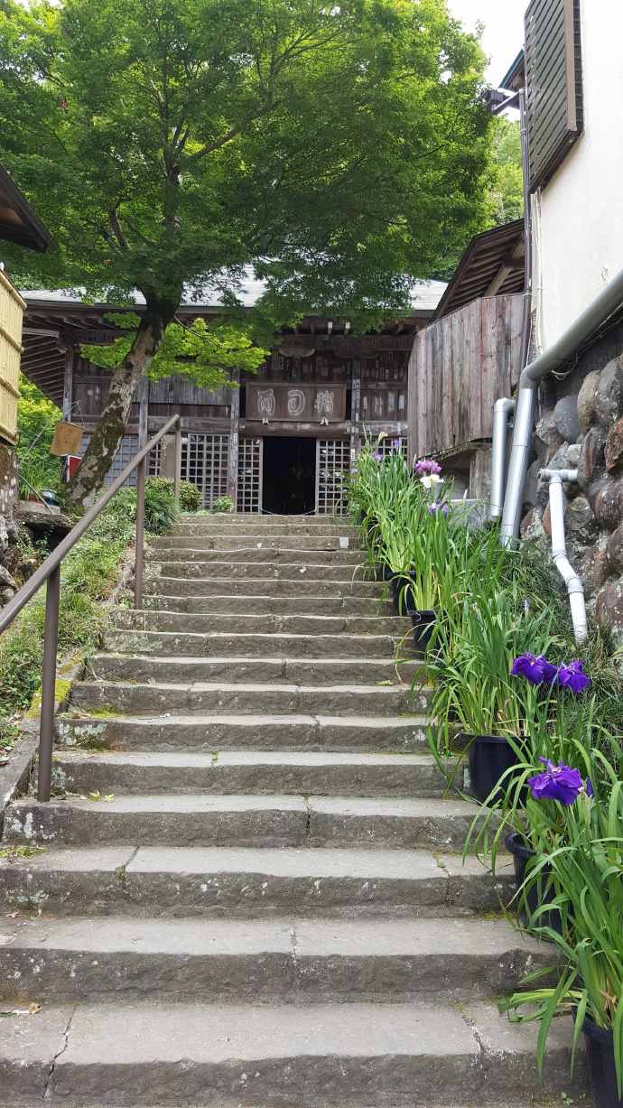 修善寺-28.jpeg 修善寺 28