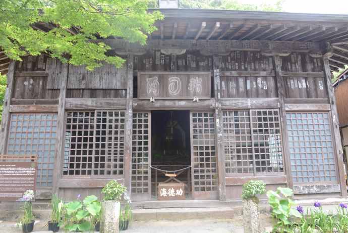 修善寺-29.jpeg 修善寺 29