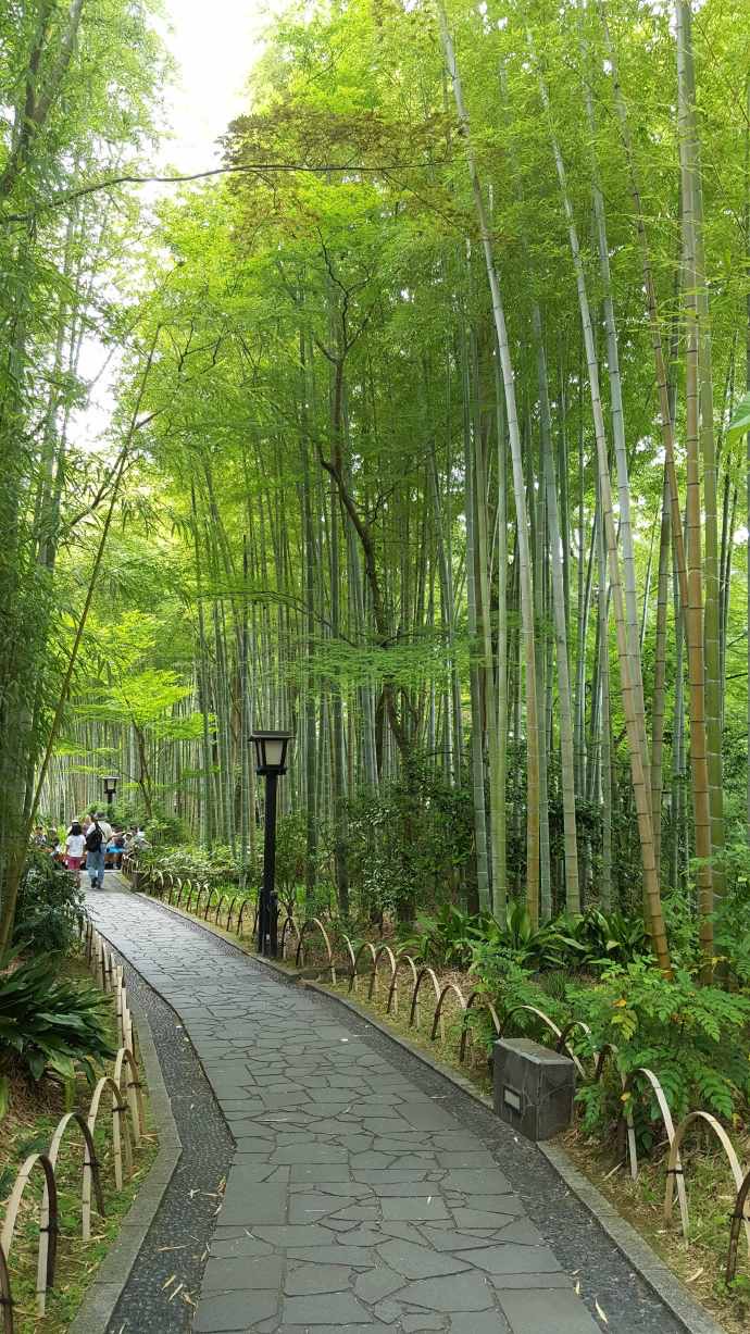 修善寺-33.jpeg 修善寺 33