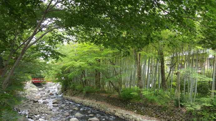 修善寺-35.jpeg 修善寺 35