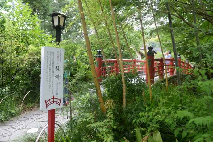 修善寺-36.jpeg 修善寺 36