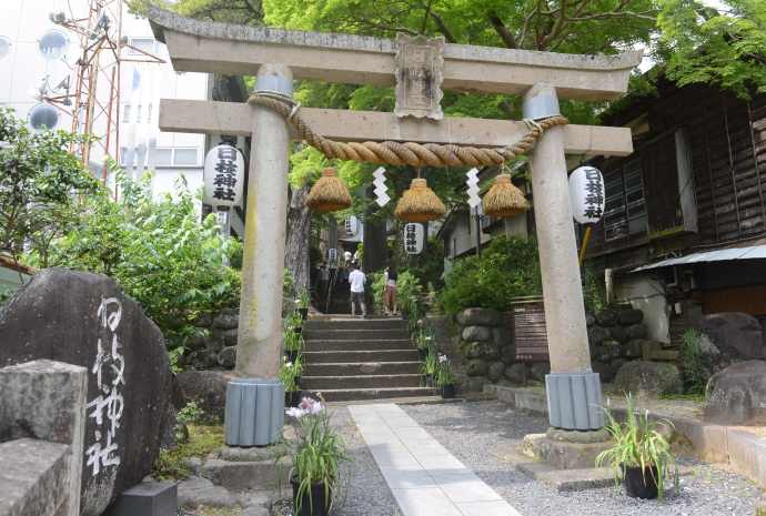 修善寺-40.jpeg 修善寺 40