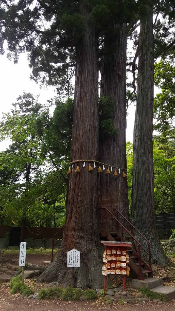 修善寺-42.jpeg 修善寺 42