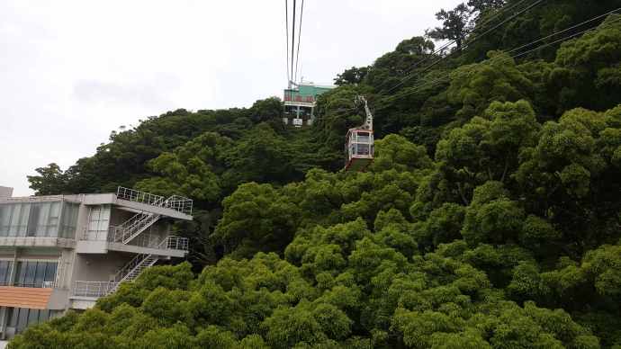 修善寺-44.jpeg 修善寺 44