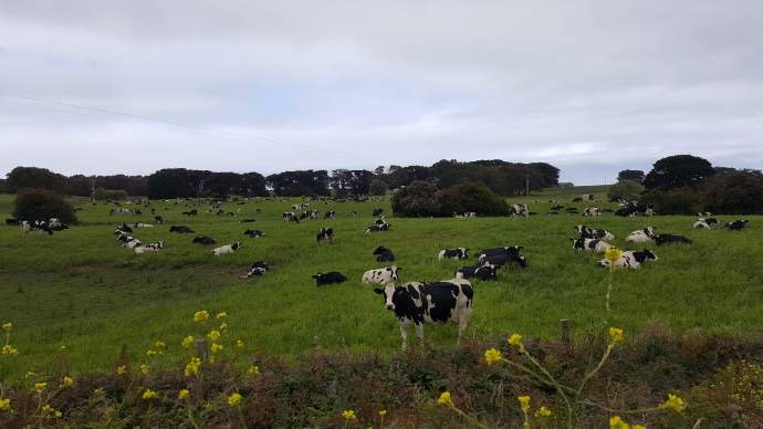 坎贝尔港-22.jpeg 坎贝尔港 22