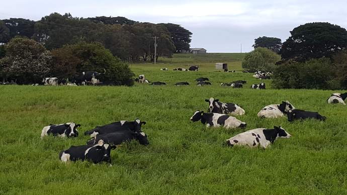 坎贝尔港-23.jpeg 坎贝尔港 23