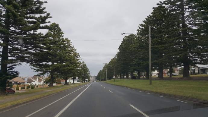 坎贝尔港-24.jpeg 坎贝尔港 24