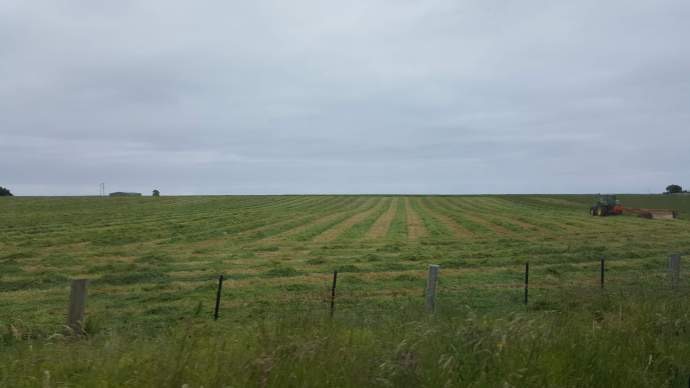 坎贝尔港-27.jpeg 坎贝尔港 27