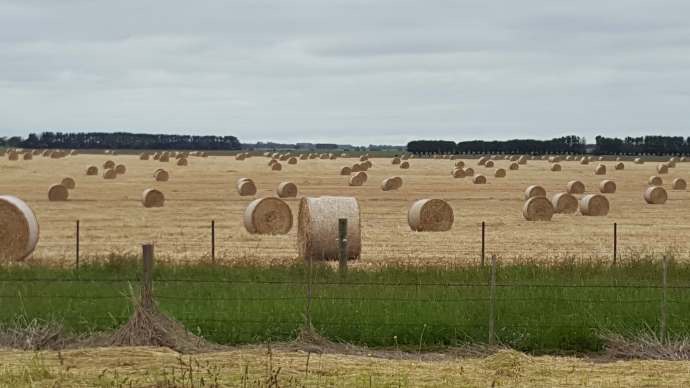 坎贝尔港-28.jpeg 坎贝尔港 28