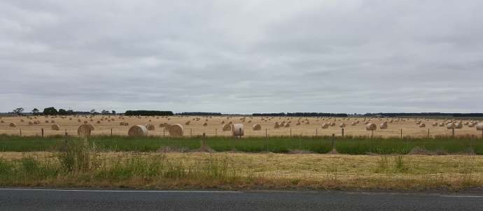 坎贝尔港-29.jpeg 坎贝尔港 29