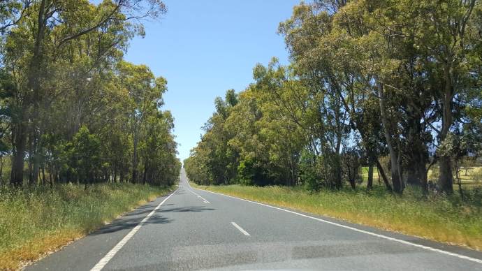 坎贝尔港-33.jpeg 坎贝尔港 33