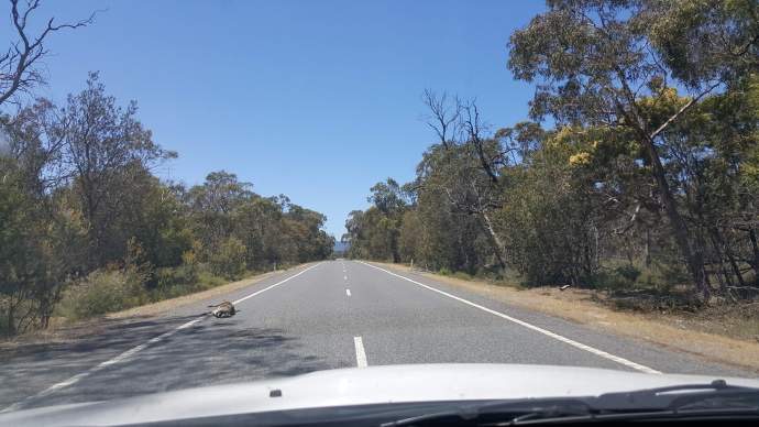 坎贝尔港-34.jpeg 坎贝尔港 34