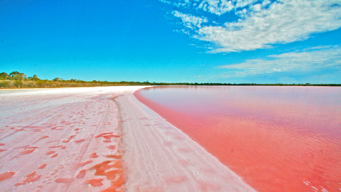 坎贝尔港-36.jpeg 坎贝尔港 36