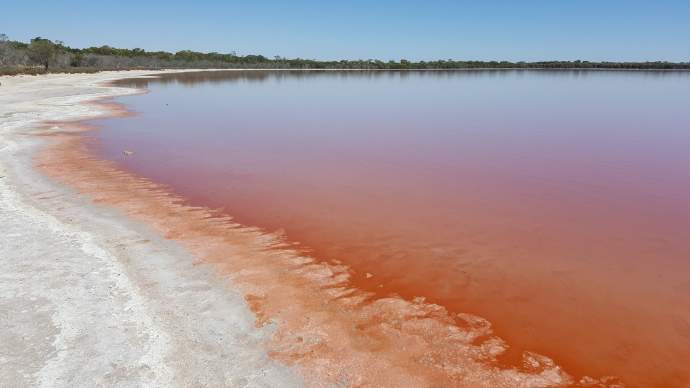 坎贝尔港-38.jpeg 坎贝尔港 38