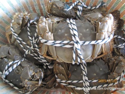 大闸蟹-02.jpeg 大闸蟹 02