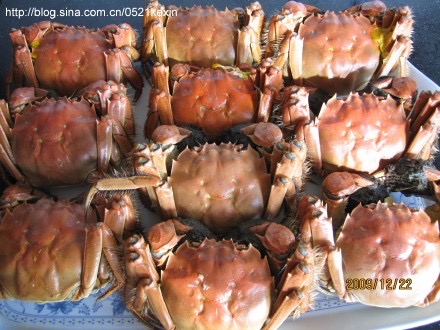 大闸蟹-03.jpeg 大闸蟹 03